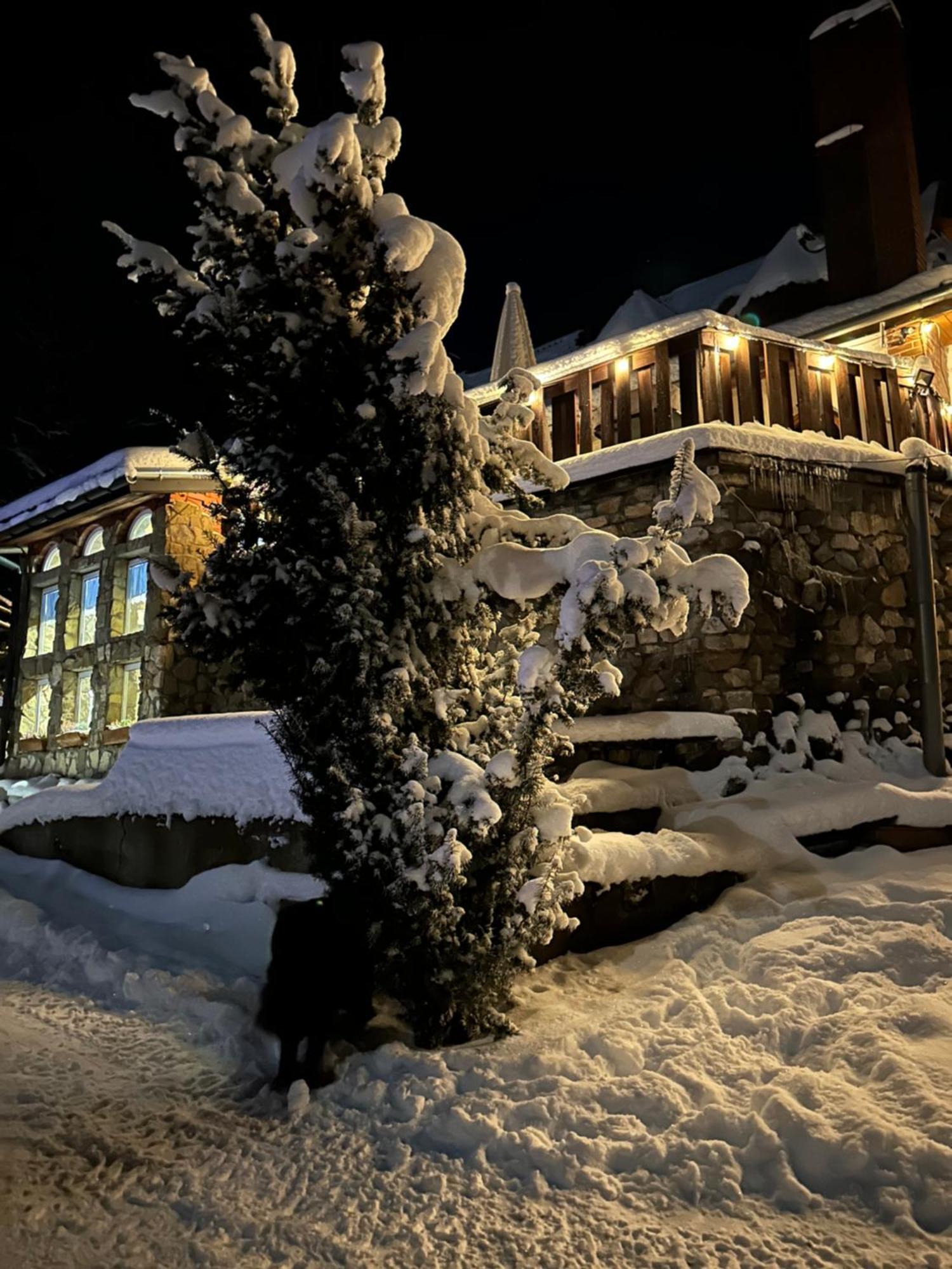 Mala Bawaria Hotel Закопане Екстериор снимка