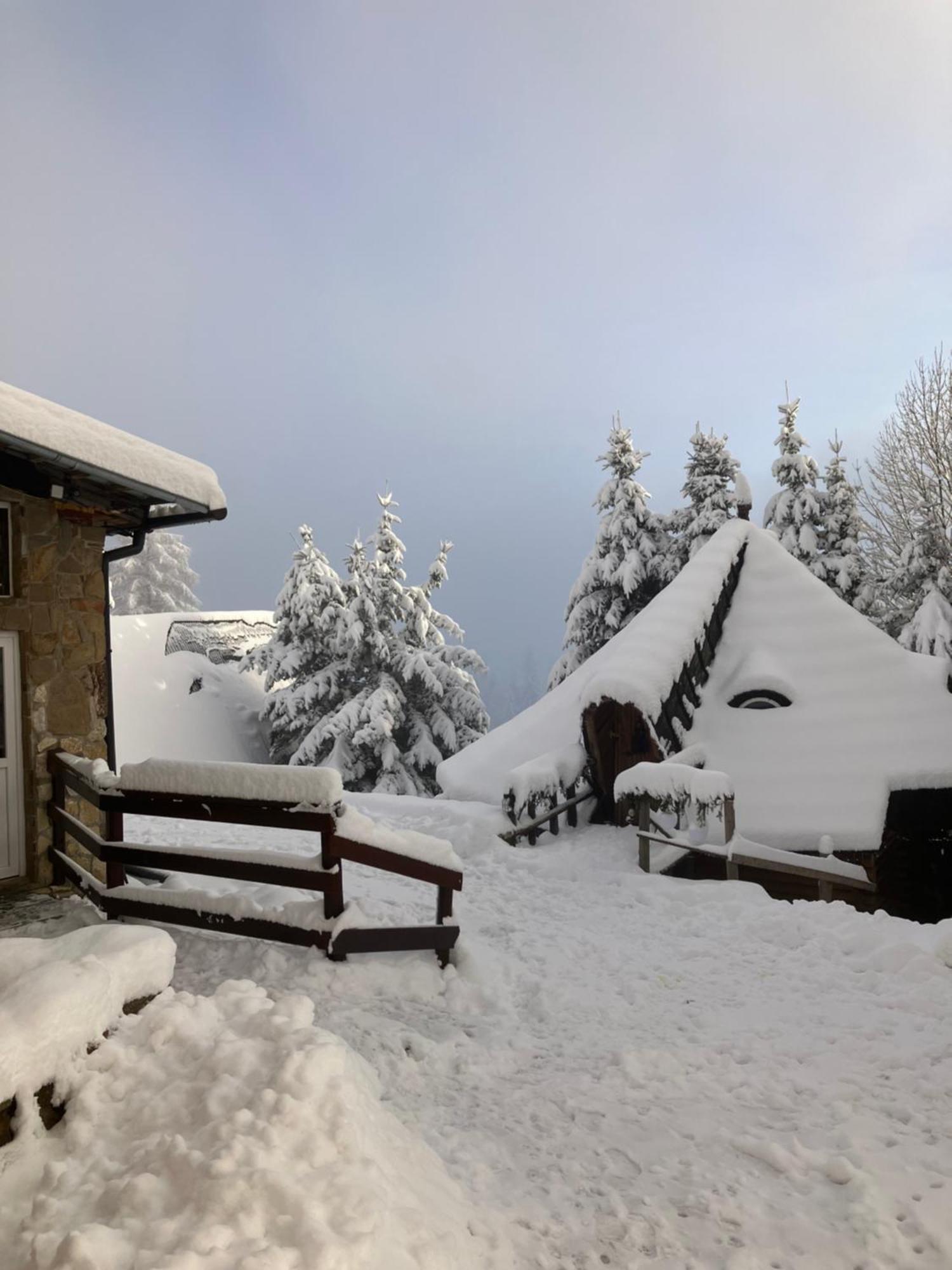Mala Bawaria Hotel Закопане Екстериор снимка