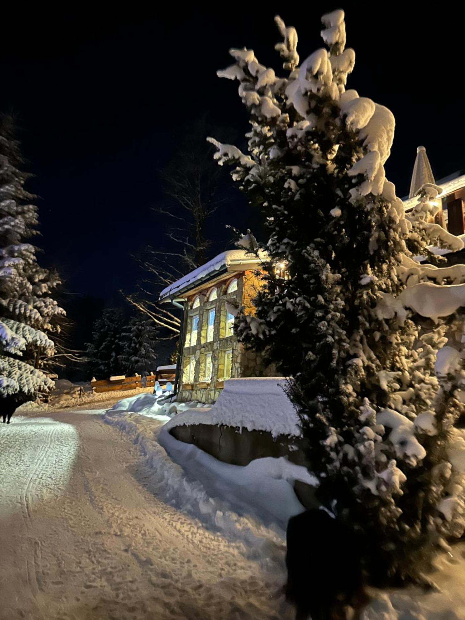 Mala Bawaria Hotel Закопане Екстериор снимка